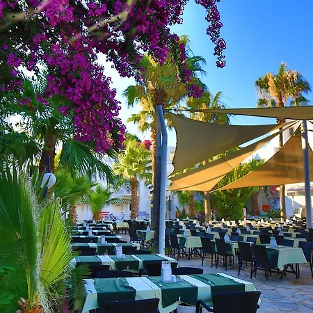 Rexene Resort-2